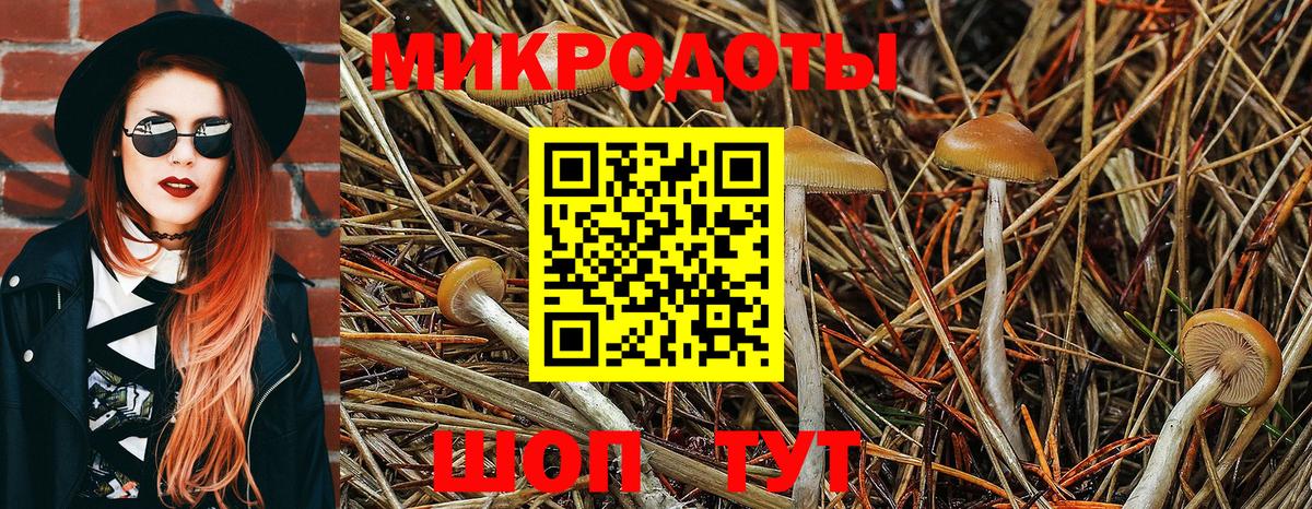 Кириши  Псилоцибиновые грибы прущие грибы  Галлюциногенные грибы мицелий  Вход с VPN 